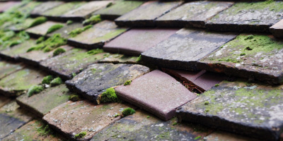 Beacon Hill roof repair costs